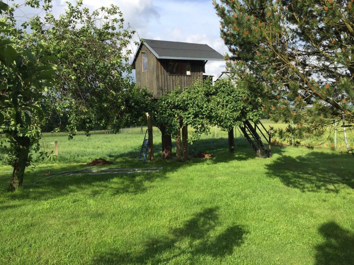 Zurück zur Natur... Vollrathsruhe Exterior foto